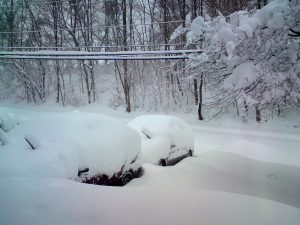 Snow-in-Maryland-Feb-09-2-300x225.jpg