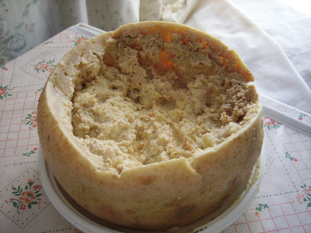 Casu_Marzu_cheese-1024x768.jpg