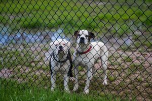 blake-barlow-645743-unsplash-300x200.jpg