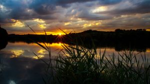 sunset-3583622-300x169.jpg