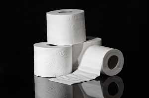 toilet-paper-3964492-300x199.jpg