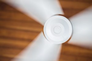 octav-cado-508490-unsplash-300x200.jpg