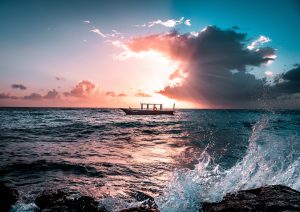 bruno-van-der-kraan-804758-unsplash-300x212.jpg