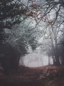 annie-spratt-207739-unsplash-225x300.jpg