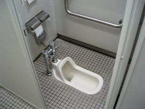squat-toilet-58eae2a53df78c5162a110f8-1541429528699-300x225.jpg