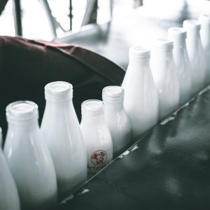 mehrshad-rajabi-626913-unsplash-300x300.jpg