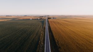 tom-zittergruen-394053-unsplash-300x168.jpg