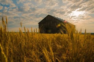 zachary-sinclair-622997-unsplash-300x200.jpg