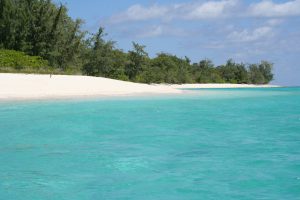 beach-228276-300x200.jpg