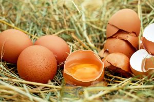 egg-1510449-1-300x200.jpg