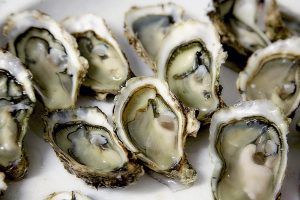oyster-1522835-1-300x200.jpg