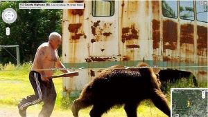 chasing-bear-300x170.jpg