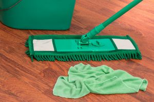mop-2736400-300x200.jpg