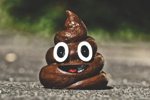 poop-4108423_1920-300x200.jpg