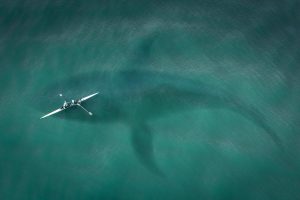 boat-2435056_1920-300x200.jpg