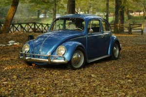car-1283947-300x200.jpg