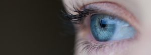 eye-691269-300x109.jpg