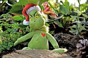 grinch-1898511_1920-300x199.jpg