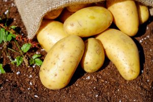 potatoes-1585075_1920-300x200.jpg