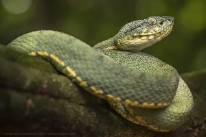 39876626455_0ac487407b_o-300x200.jpg