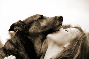 dog-3586281-300x200.jpg