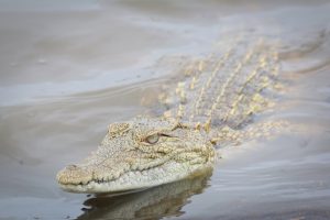 glen-carrie-RIQjCqmcGNw-unsplash-300x200.jpg