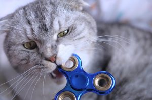 fidget-spinner-2553337-300x199.jpg