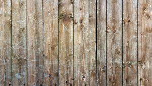 wood-1234667_1920-300x169.jpg