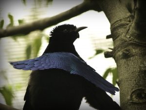 4514108926_f3425eee24_o-300x225.jpg
