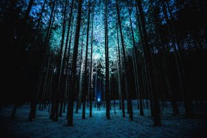 night-1245875-300x200.jpg