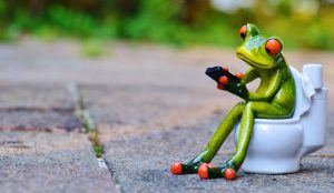 frog-914131-300x174.jpg