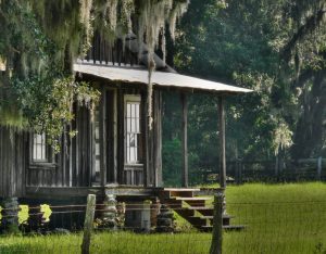 Rural_florida_-_sharecroppers_shack_2943062287-300x234.jpg