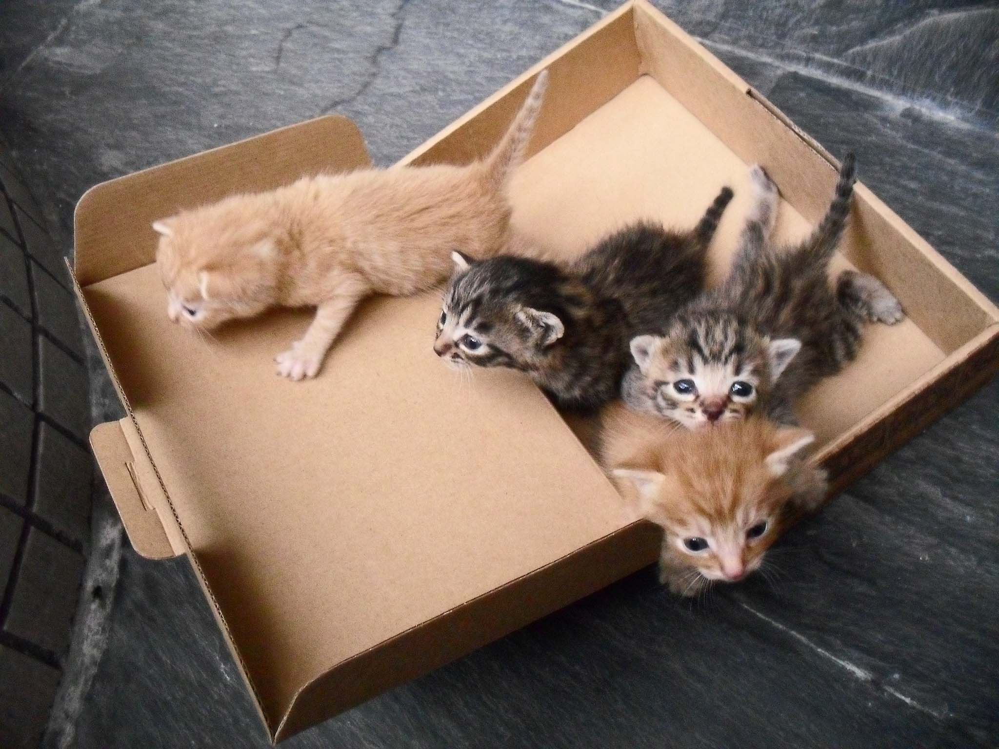 Heartbreaking Things Facts