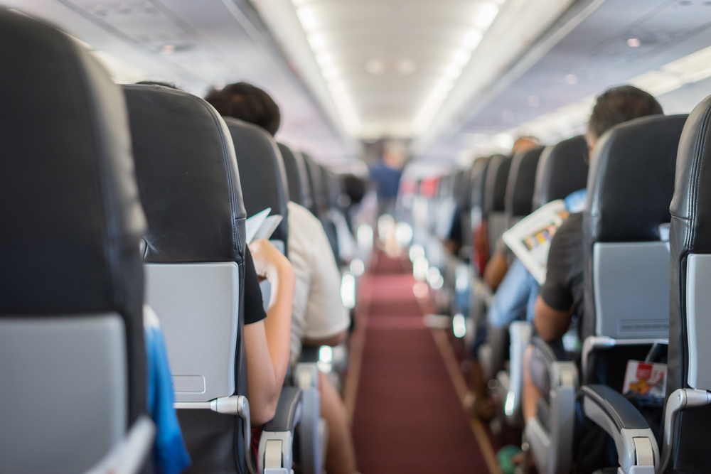 Things Witnessed On A Flight Facts