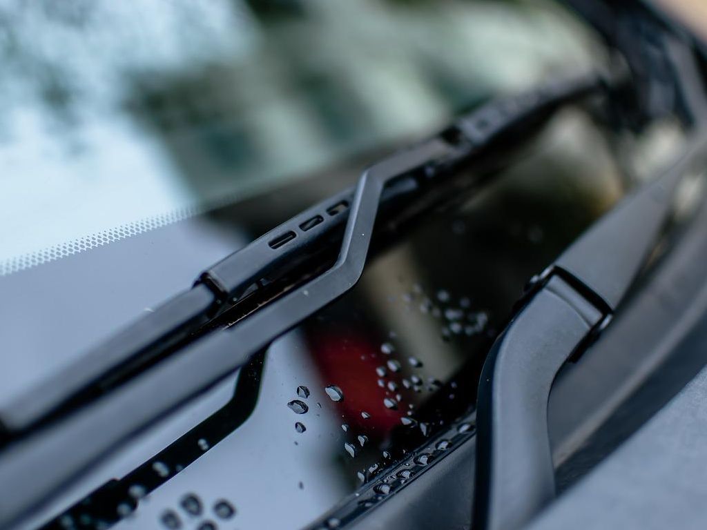 Strangest-Real-Life-Stories-Drive-Through-52.jpg.optimal.jpg