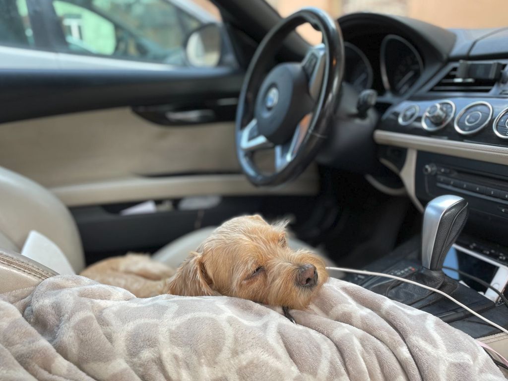 Strangest-Real-Life-Stories-Drive-Through-53.jpg.optimal.jpg