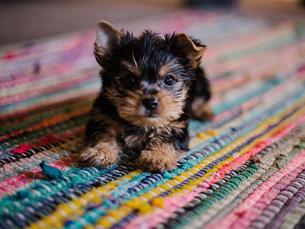 resizehannah-grace-fk4tiMlDFF0-unsplash.jpg.optimal.jpg