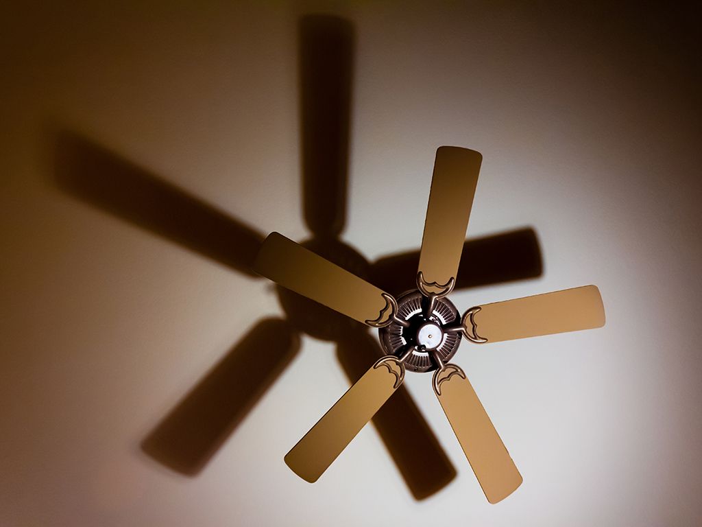 resizejason-anderson-CN2h4eUbFGw-unsplash.jpg.optimal.jpg