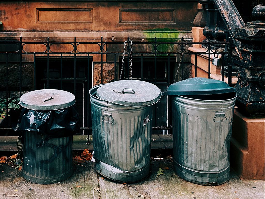 resizejon-tyson-TlD4UoFTZ24-unsplash.jpg.optimal.jpg