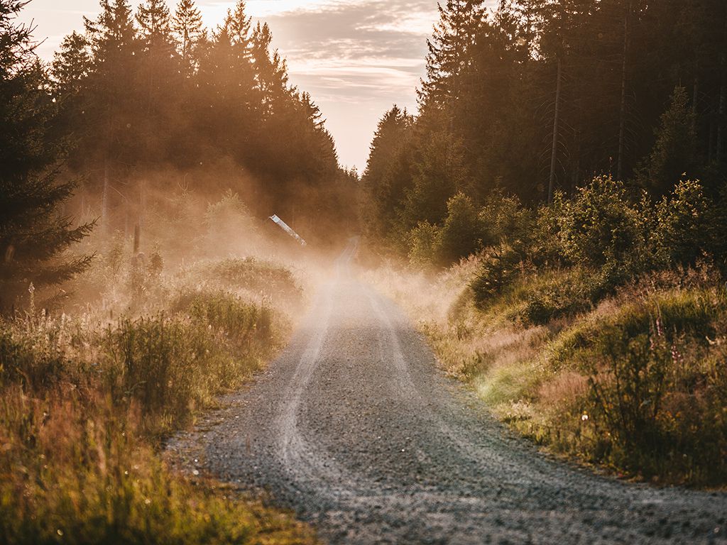 resizejulian-hochgesang-xAtPFINNagQ-unsplash.jpg.optimal.jpg
