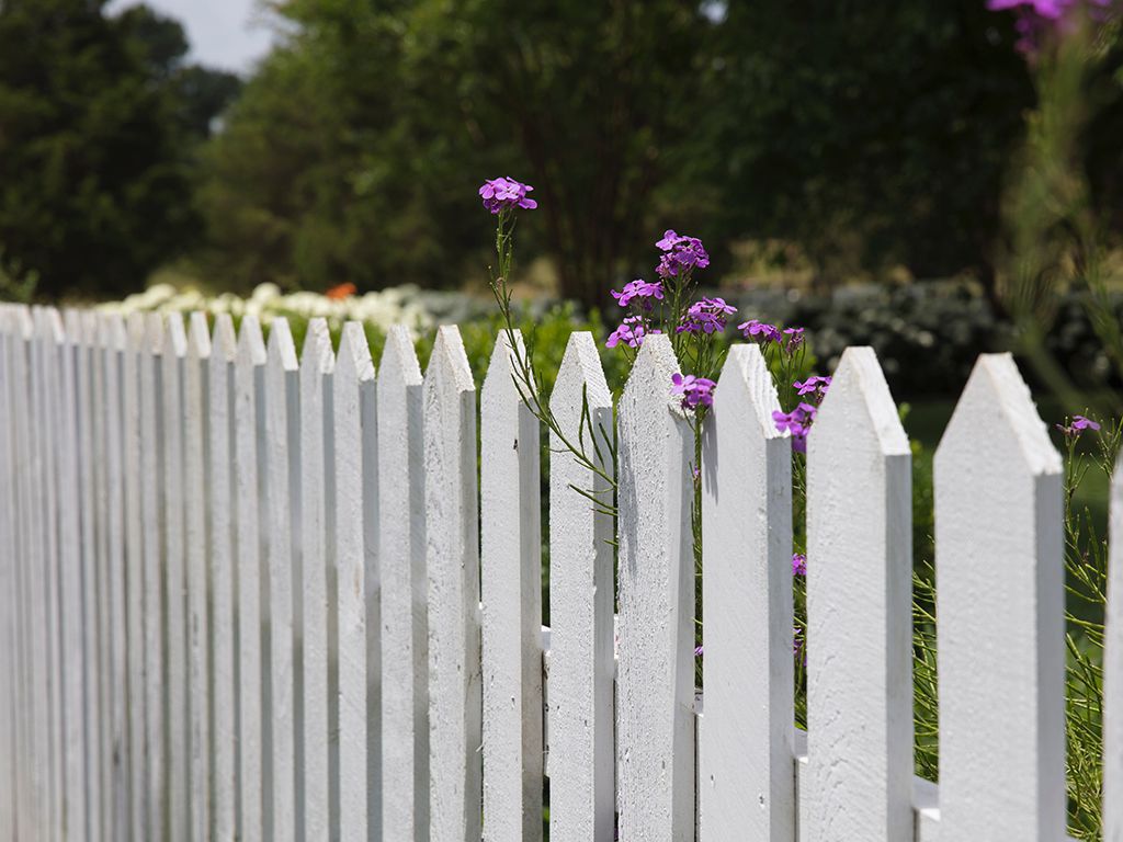 resizerandy-fath-07dDz_PI05k-unsplash-1.jpg.optimal.jpg