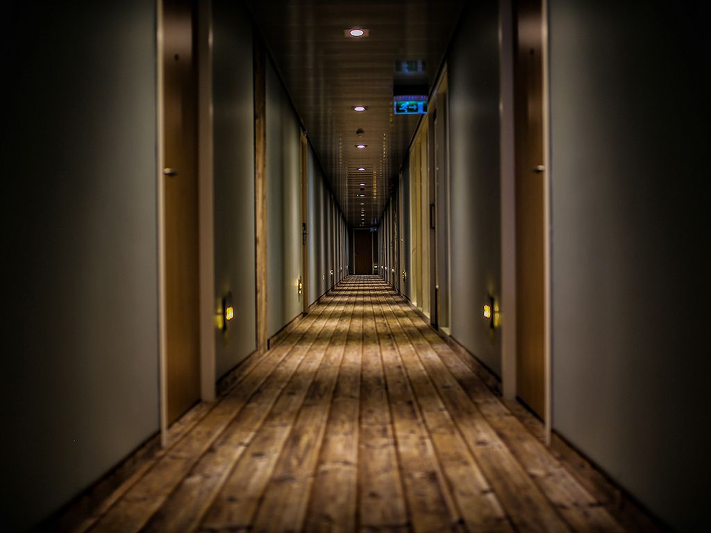 resizerunnyrem-LfqmND-hym8-unsplash.jpg.optimal.jpg