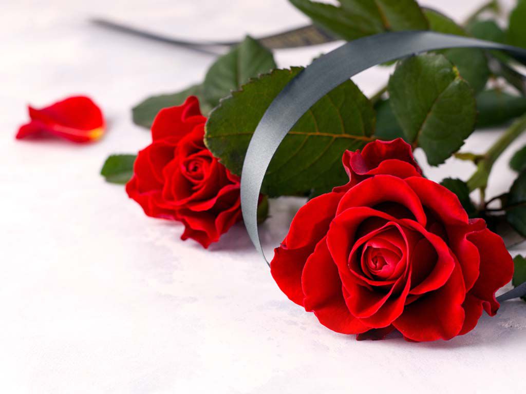 resizeshutterstock_1704867211.jpg.optimal.jpg