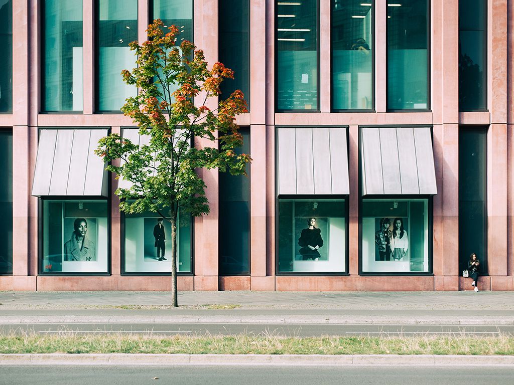 resizesimon-alibert-JIg5GJlGN5Q-unsplash.jpg.optimal.jpg