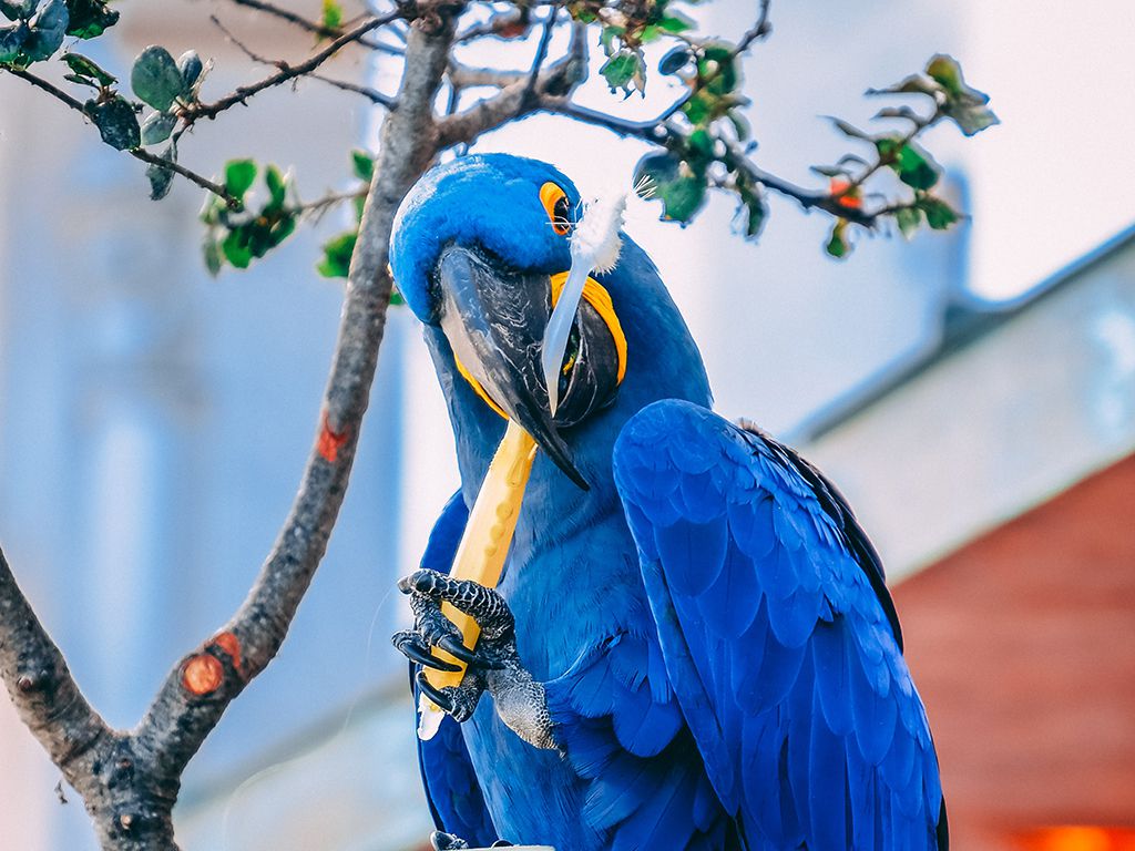 resizesimon-shim-G3_ijrNF_cU-unsplash.jpg.optimal.jpg