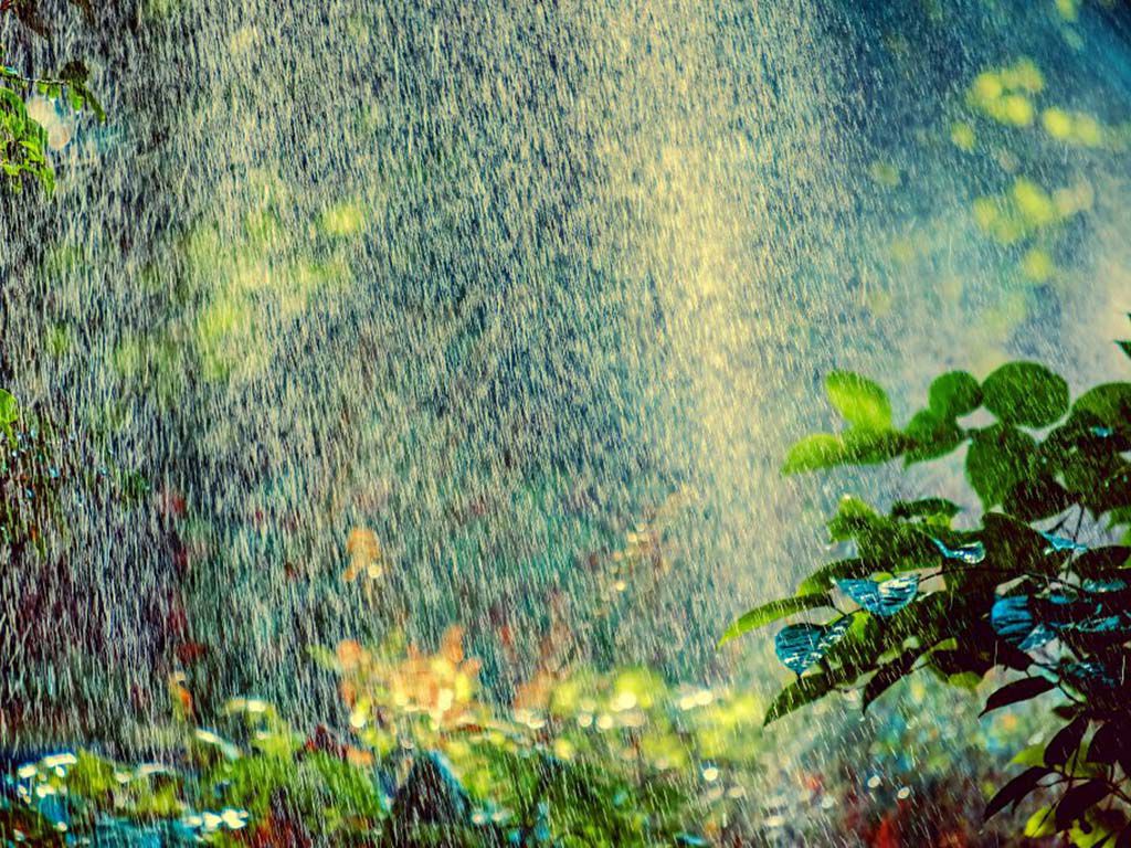 resizesprinkler-3569233-1024x683-1.jpg.optimal.jpg