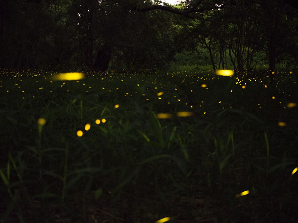 resizetoan-phan-TY0wQIAdMQA-unsplash.jpg.optimal.jpg