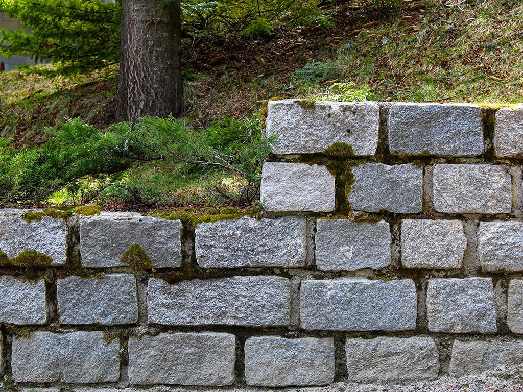 resizezhivko-minkov-Al7AZBONaCo-unsplash.jpg.optimal.jpg